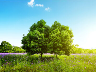 Sanificazione e disinfezione con ozono