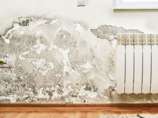 Come prevenire la muffa