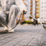Come e quando fare la disinfestazione