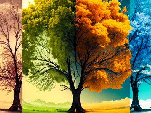 Checklist di pulizia stagionale preparare la tua casa per ogni stagione