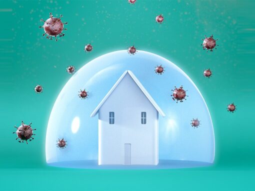 Batteri e virus: le migliori pratiche di pulizia per mantenere la casa sicura