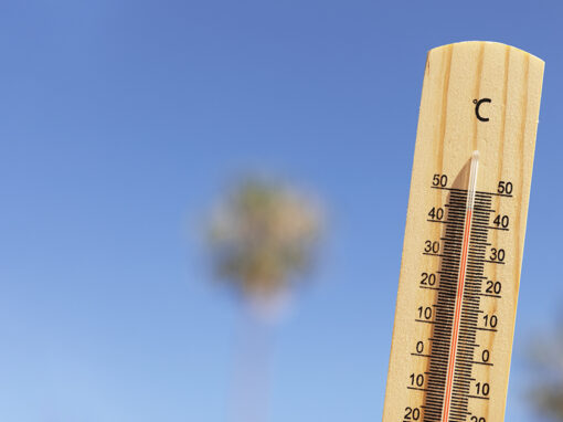 Caldo estremo e pulizie: protocolli di sicurezza per operatori a 40°C