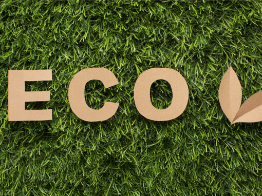 Pulizie ecologiche professionali per hotel e uffici