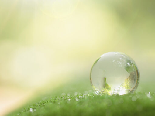 Pulizie industriali e sostenibilità